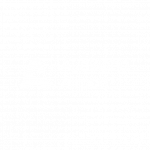Auckland Airport logo veovo