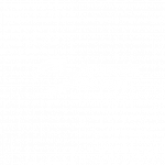 brussels airport logo veovo