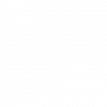 Geneve airport logo veovo