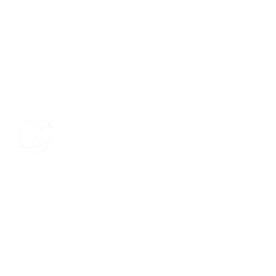John F. Kennedy JFK airport logo veovo