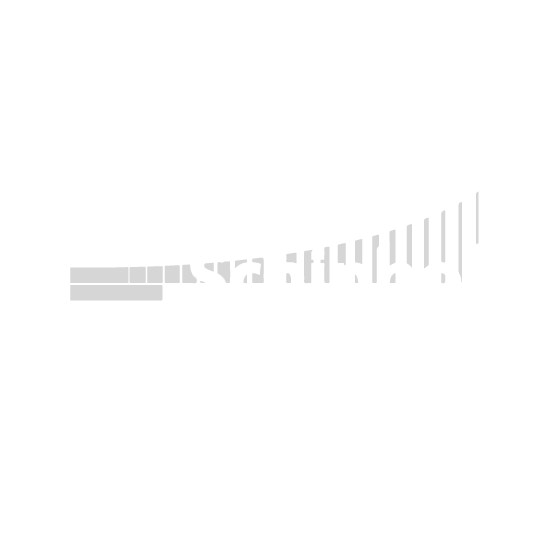 Schiphol Airport logo veovo